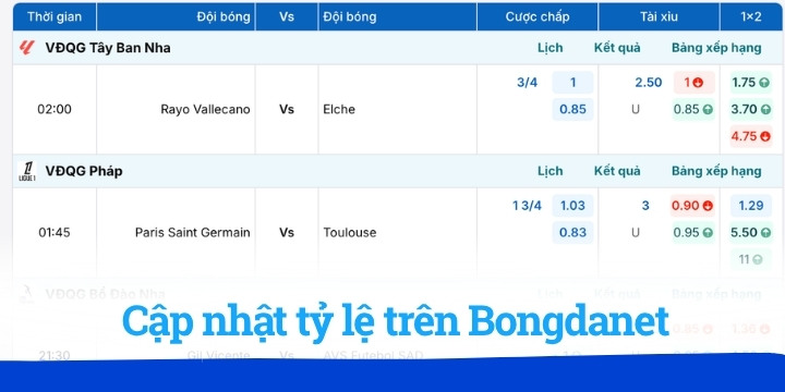 Bongdanet - Trang web xem bóng đá miễn phí, kèo liên tục 3 Tỷ lệ kèo và nhận định đầy đủ về tình hình trận đấu Bongdanet