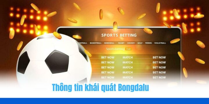 Bongdalu - Website hàng đầu chuyên cập nhật kèo bóng đá 1 Giới thiệu khái quát về nền tảng Bongdalu