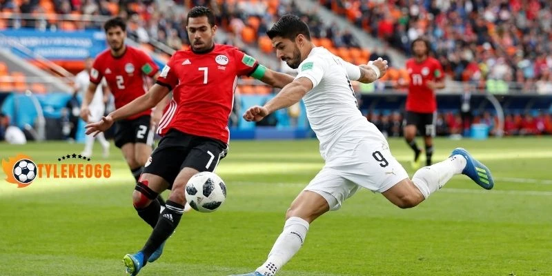 Tỷ Lệ Kèo New Zealand Vs Bỉ - Bảng G World Cup 10h00 27/06/2026 4 Dự đoán kèo New Zealand vs Bỉ